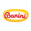 BANINI